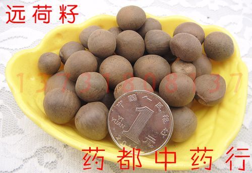 远荷子价格(中药远荷子的功效与作用)-图3 远荷子价格(中药远荷子的功效与作用)-图3