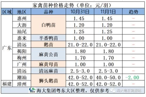 阳江鹅苗价格(阳江鹅苗价格今日价格表图片)-图3 阳江鹅苗价格(阳江鹅苗价格今日价格表图片)-图3