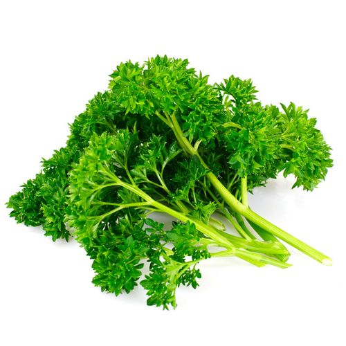 欧芹价格(欧芹药用价值)-图3 欧芹价格(欧芹药用价值)-图3