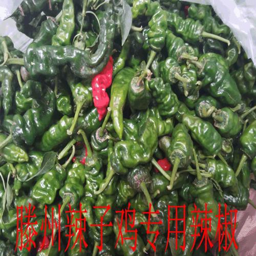 鲜米辣价格(米辣子市场价多少一斤)-图3 鲜米辣价格(米辣子市场价多少一斤)-图3