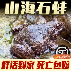 包含石蛤的价格的词条-图3 包含石蛤的价格的词条-图3