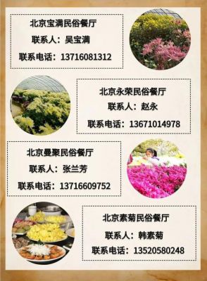 平谷菊花宴价格（平谷菊花宴价格表）