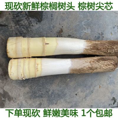 棕树心价格(棕树心图片)-图2 棕树心价格(棕树心图片)-图2