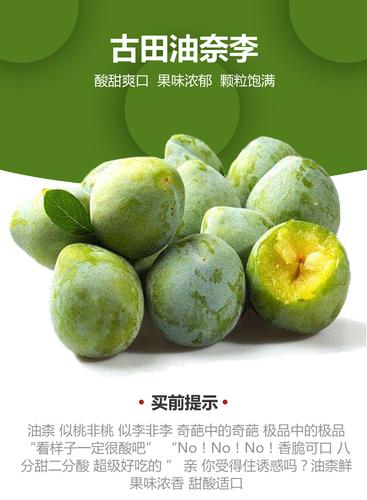 油奈价格(油奈是哪里的特产)-图3 油奈价格(油奈是哪里的特产)-图3