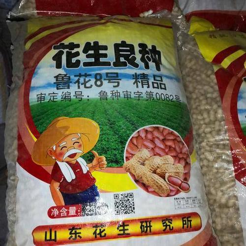 中牟花生价格(中牟花生价格最新行情)-图3 中牟花生价格(中牟花生价格最新行情)-图3