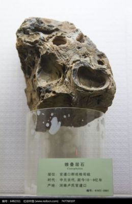 叠层石的价格(叠层石结构构造)-图3 叠层石的价格(叠层石结构构造)-图3