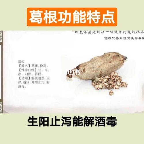 葛条根价格(葛根条的作用与功效)-图3 葛条根价格(葛根条的作用与功效)-图3