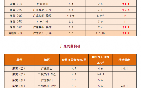 湖南肉鸡价格(湖南肉鸡价格行情)-图2 湖南肉鸡价格(湖南肉鸡价格行情)-图2