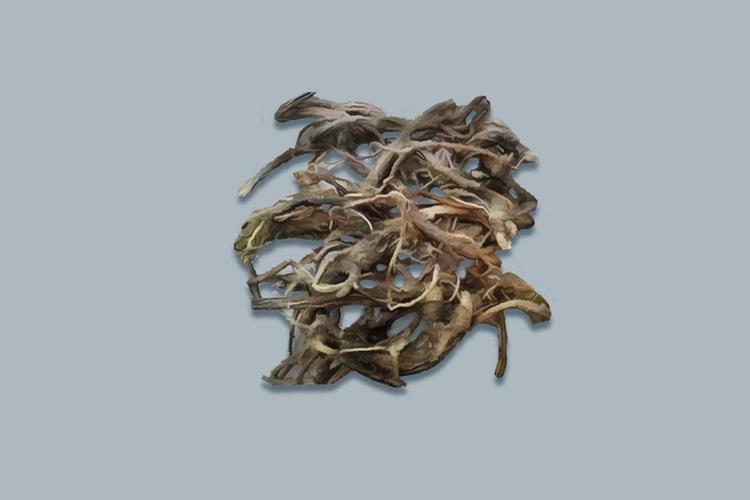 黄风价格(黄风图片和功效和作用)-图2 黄风价格(黄风图片和功效和作用)-图2