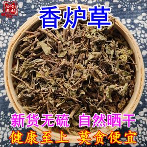 香炉草价格(香炉草的图片欣赏)-图3 香炉草价格(香炉草的图片欣赏)-图3