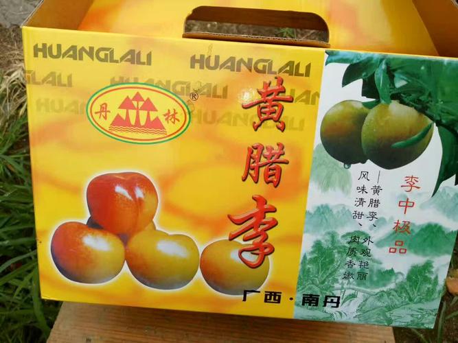 黄腊李价格(广西黄蜡李)-图3 黄腊李价格(广西黄蜡李)-图3