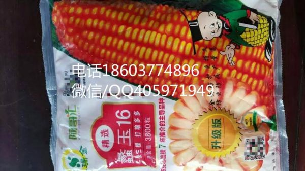 蠡玉16价格(蠡玉178价格)-图3 蠡玉16价格(蠡玉178价格)-图3
