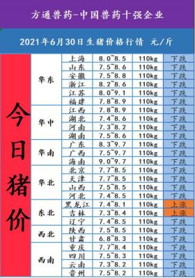 高唐县猪价格（高青县今日猪价）