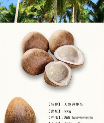 海椰王的价格（海椰王图片）