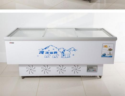 雪菱冰柜价格（雪菱冰柜价格表）
