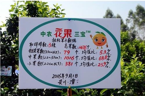 中农花果三宝的价格（中农花果三宝使用方法）
