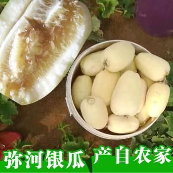 火银瓜价格(火银瓜多少钱一斤)-图2 火银瓜价格(火银瓜多少钱一斤)-图2
