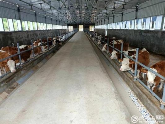 2016年汉中乌药价格(汉中乌药价格行情)-图3 2016年汉中乌药价格(汉中乌药价格行情)-图3