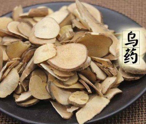 2016年汉中乌药价格(汉中乌药价格行情)-图2 2016年汉中乌药价格(汉中乌药价格行情)-图2
