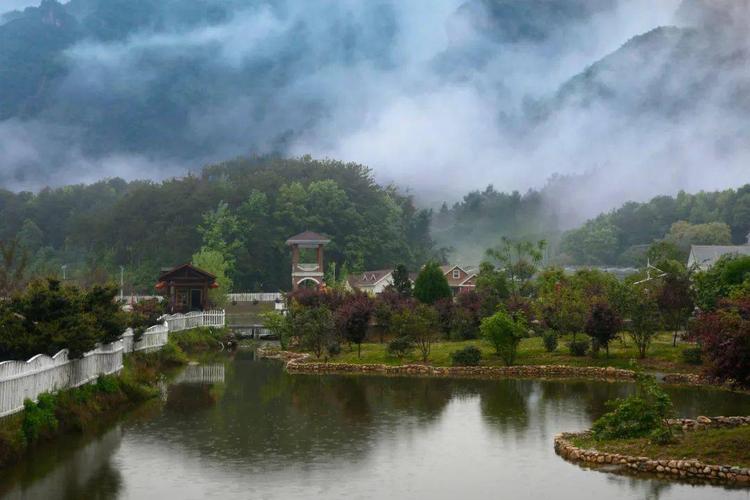 山东浮来青茶叶价格(浮来青茶养生康养旅游基地)-图3 山东浮来青茶叶价格(浮来青茶养生康养旅游基地)-图3