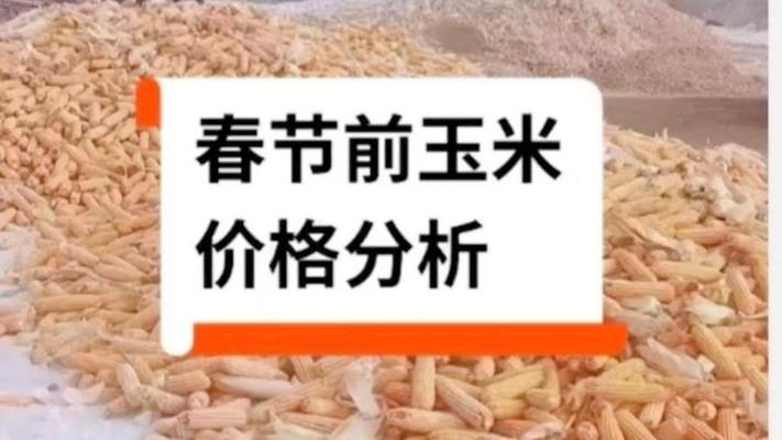 新乐玉米价格(乐亭玉米价格)-图3 新乐玉米价格(乐亭玉米价格)-图3