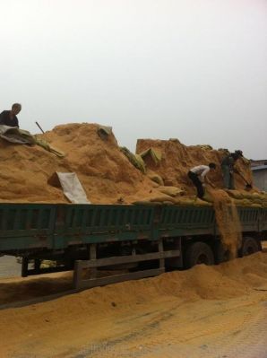据沫价格(一支沫价格)-图3 据沫价格(一支沫价格)-图3