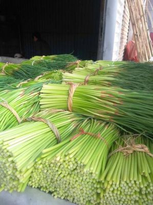 西安蒜薹价格（蒜薹价格蔬菜商情网）