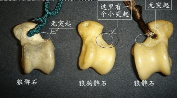 狼髀石的价格(真的狼髀石多少钱一个)-图3 狼髀石的价格(真的狼髀石多少钱一个)-图3