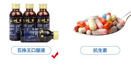 五株王价格(五株王口服液可以长期喝吗)-图2 五株王价格(五株王口服液可以长期喝吗)-图2