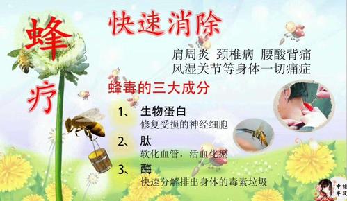 蜂疗的价格(蜂疗价格高吗)-图2 蜂疗的价格(蜂疗价格高吗)-图2