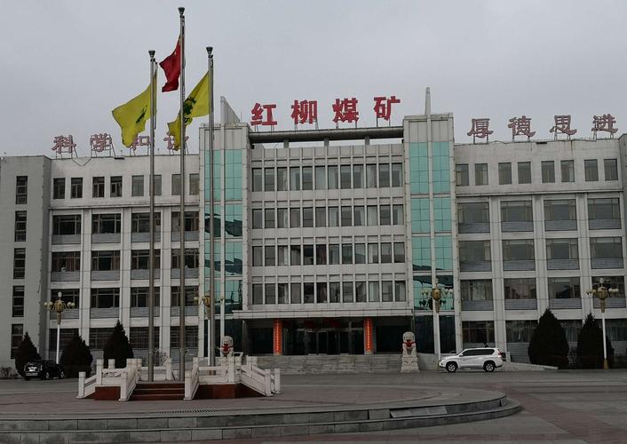宁夏红柳煤价格（宁夏红柳煤价格走势）