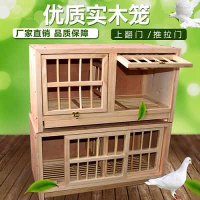 鸽具图片大全价格(鸽具用品图片价格大全)-图2 鸽具图片大全价格(鸽具用品图片价格大全)-图2