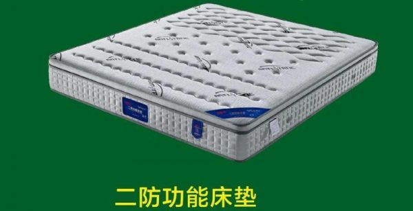 红丽床垫的价格表(红丽床垫是牌子吗)-图2 红丽床垫的价格表(红丽床垫是牌子吗)-图2