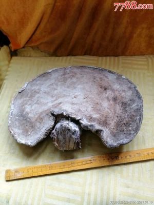 老牛干价格(老牛干价格多少钱一斤)-图3 老牛干价格(老牛干价格多少钱一斤)-图3