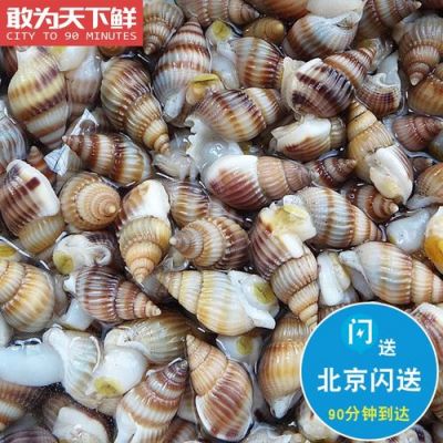 海汀的价格（海丁市场价）