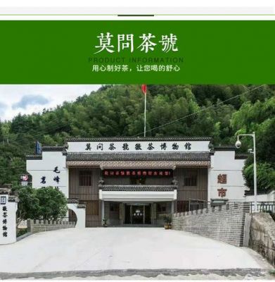 莫问茶号价格（莫问茶很贵吗）-图3
