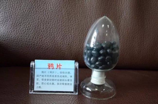 大烟瓜价格（大烟籽的功效与作用的是什么毒品）