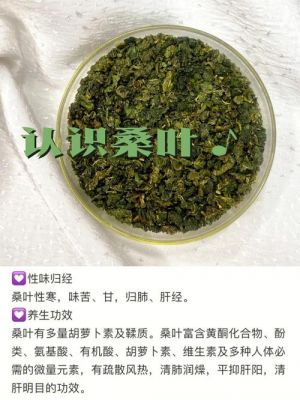桑茶的价格（桑茶的功效与副作用）-图3