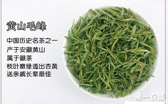 少海茗茶价格(青岛少海茶叶有限公司)-图2 少海茗茶价格(青岛少海茶叶有限公司)-图2
