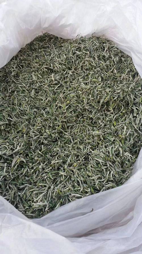 千丈白毫价格(千丈白毫绿茶)-图3 千丈白毫价格(千丈白毫绿茶)-图3