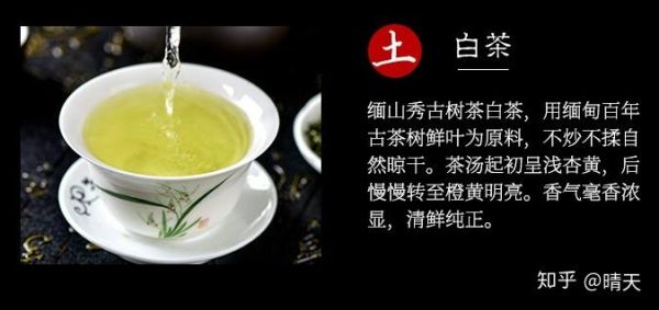 五行松花茶价格(松花茶能治什么病)-图3 五行松花茶价格(松花茶能治什么病)-图3