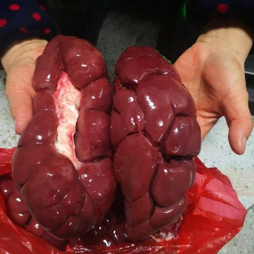 牛肾的价格(牛肾的功效和作用)-图1 牛肾的价格(牛肾的功效和作用)-图1