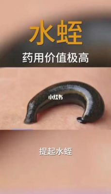 水蛭酸性多肽价格(水蛭酸性多肽价格多少)-图3 水蛭酸性多肽价格(水蛭酸性多肽价格多少)-图3