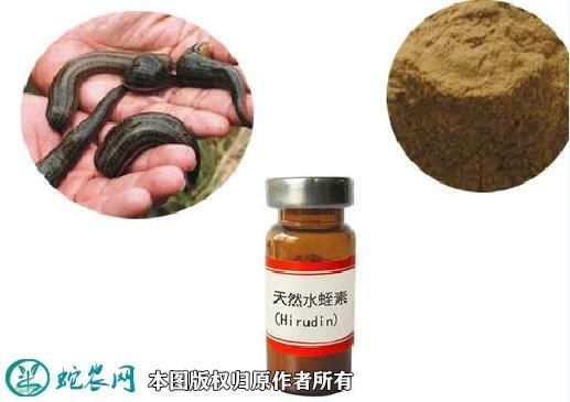 水蛭酸性多肽价格(水蛭酸性多肽价格多少)-图2 水蛭酸性多肽价格(水蛭酸性多肽价格多少)-图2