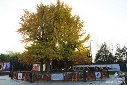 福州圣宫全套价格（福州圣宫什么时候关了）