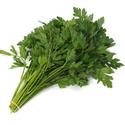 欧芹的价格(欧芹价格多少钱一斤)-图3 欧芹的价格(欧芹价格多少钱一斤)-图3