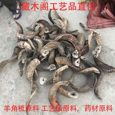 板角山羊价格(山羊角批发)-图2 板角山羊价格(山羊角批发)-图2