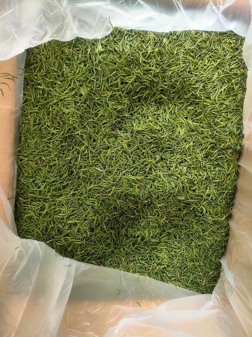 贡芽价格(贡芽茶叶)-图3 贡芽价格(贡芽茶叶)-图3