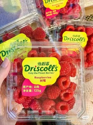 树莓价格斤(树莓市场价格)-图3 树莓价格斤(树莓市场价格)-图3