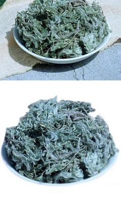 绵茵陈价格(绵茵陈是什么样子)-图2 绵茵陈价格(绵茵陈是什么样子)-图2